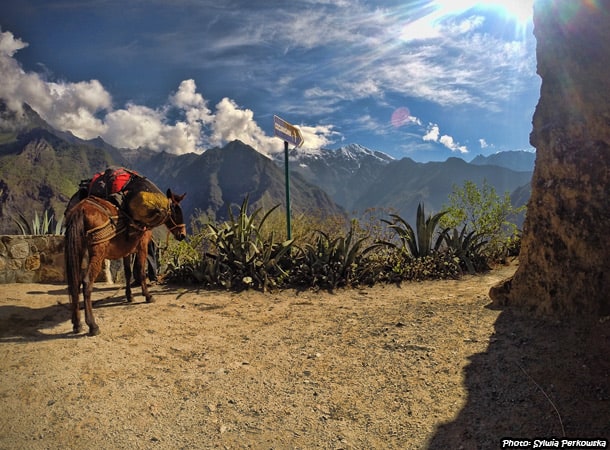 Trek Choquequirao nerar Cusco