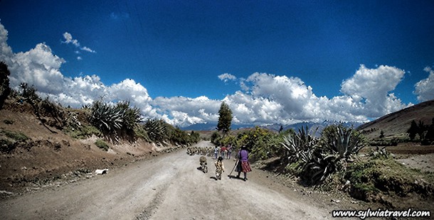 Bicycle trip from Chinchero to Urubamba including Moray and Maras