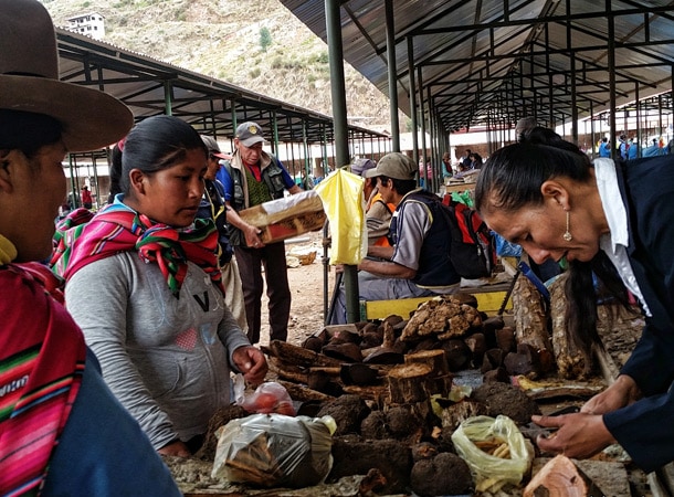 Wyprawy do Peru i ziołolecznictwo