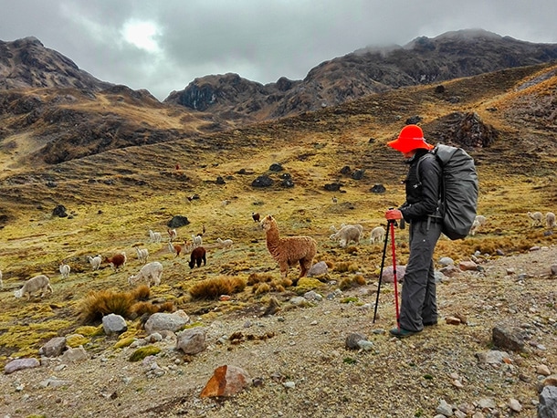 peru wakacje trekkig w Andach