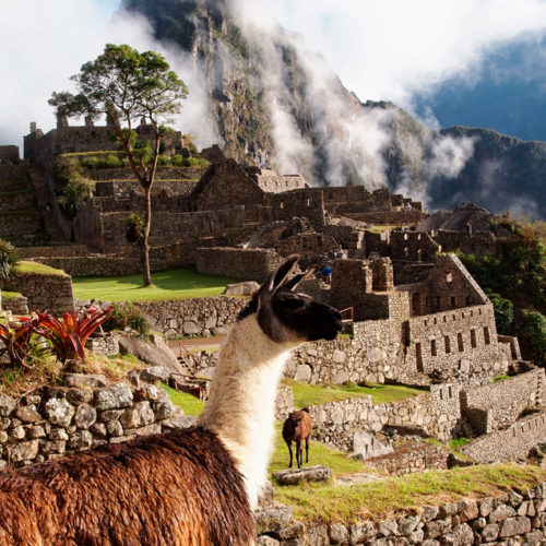 Machu Picchu, czy Huayna Picchu