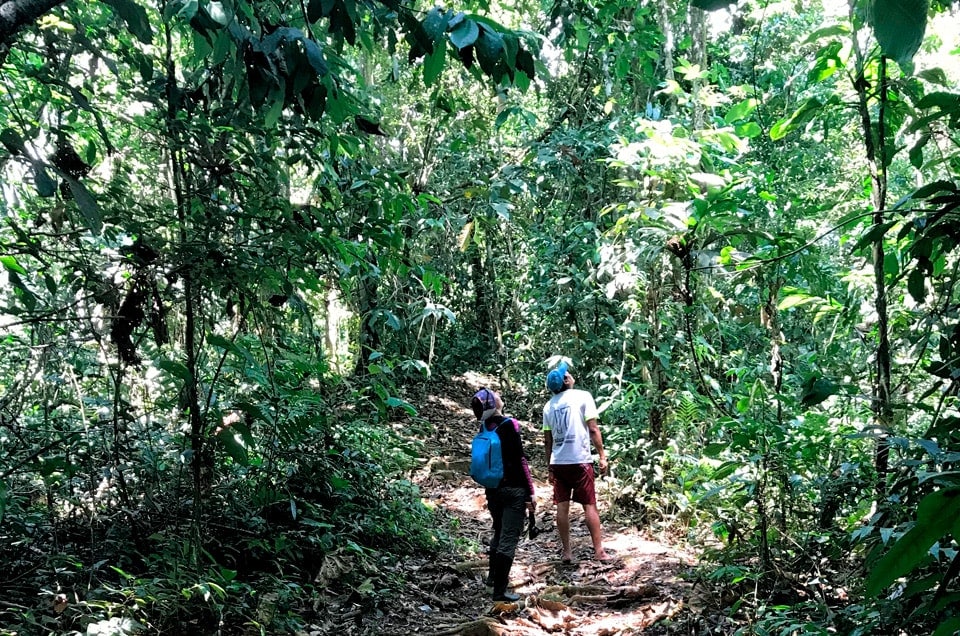 Wycieczki do Peru i wyprawy po dżungli