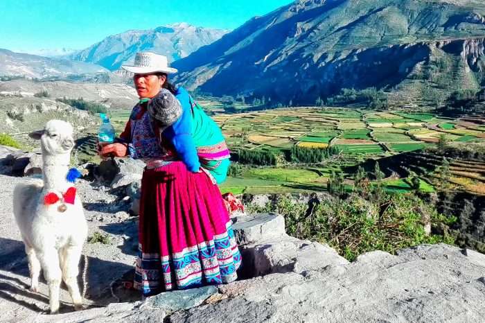 Colca Canyon in Peru with transfer option from Chivay to Puno