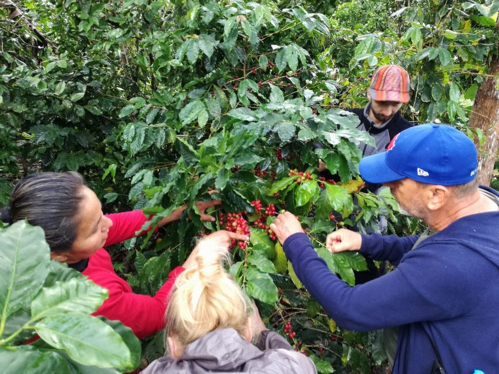 Odkryj Peru pięcioma zmysłami