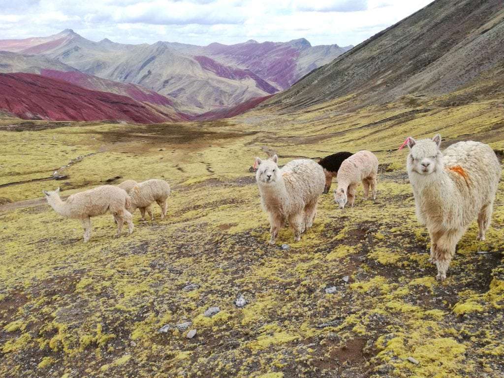 Południowe perełki Peru w 17 dni. Tramping